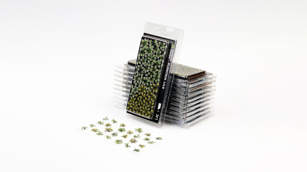 Gamers Grass Laser Plant - Plantain Lily PL